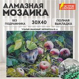 Картина стразами (алмазная мозаика) 30х40 см, ОСТРОВ СОКРОВИЩ "Ёжик", без подрамника, 662564 662564