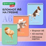 Блокнот МАЛЫЙ ФОРМАТ А6 108х145 мм, 40 л., гребень, картон, клетка, BRAUBERG KIDS, "Собачки", 114394 114394