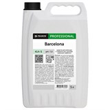 Антисептик для рук и поверхностей бесспиртовой 5 л PRO-BRITE BARCELONA, жидкость 606808