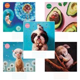 {{photo.Alt || photo.Description || 'Тетрадь 24 л., HATBER клетка, обложка картон, &quot;Узнай себя!&quot; (Lucia Heffernan) (микс в спайке), 086740, 24Т5В1'}}