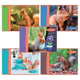 {{photo.Alt || photo.Description || 'Альбом для рисования А4, 32 л., скоба, обложка картон, HATBER, 205х290 мм, &quot;Белочка пришла&quot; (5 видов), 091519, 32А4В'}}