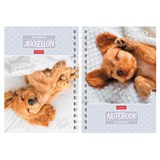 {{photo.Alt || photo.Description || 'Блокнот МАЛЫЙ ФОРМАТ А6, 80 л., гребень, твердый картон, клетка 2 цв., HATBER, &quot;Носики-курносики&quot;, 082842, 80ЗКтд6В1гр_301'}}