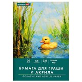 {{photo.Alt || photo.Description || 'Бумага для гуаши и акрила А4 20 л., 235 г/м2, 210х297 мм, в папке, BRAUBERG ART CLASSIC, &quot;Уточка&quot;, 117732'}}