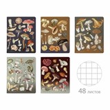 {{photo.Alt || photo.Description || 'Тетрадь А5, 48 л., АЛЬТ скоба, клетка, матовая ламинация, &quot;Грибная феерия&quot; (5 видов), 7-48-1325'}}