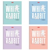 {{photo.Alt || photo.Description || 'Тетрадь А5, 48 л., HATBER гребень, клетка, обложка картон, &quot;Следуй за белым кроликом&quot; (микс), 087016, 48Т5В1гр'}}