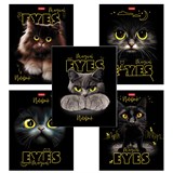 {{photo.Alt || photo.Description || 'Тетрадь А5 48 л., HATBER скоба, клетка, матовая ламинация, 3D-лак, &quot;Волшебные глаза&quot; (микс), 088313, 48Т5лолВ1'}}