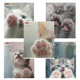 {{photo.Alt || photo.Description || 'Тетрадь А5 48 л., HATBER скоба, клетка, обложка картон, &quot;Розовые лапки&quot; (микс в спайке), 090370, 48Т5В1'}}