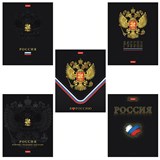 {{photo.Alt || photo.Description || 'Тетрадь А5 48л. HATBER скоба, клетка, матовая ламинация, 3D фольга, 3D лак, Россия (м, 48Т5лофлВ1'}}