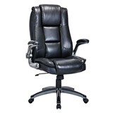 {{photo.Alt || photo.Description || 'Кресло BRABIX PREMIUM &quot;Paradigm EX-556&quot;, пружинный блок, рециклированная кожа, черное, 532976'}}