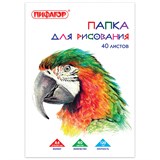 {{photo.Alt || photo.Description || 'Папка для рисования, А4, 40 л., 120 г/м2, ПИФАГОР, 210х297 мм, Попугай, 129222'}}