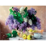 {{photo.Alt || photo.Description || 'Картина стразами (алмазная мозаика) 40х50 см, ОСТРОВ СОКРОВИЩ "Букет сирени", на подрамнике, 662430'}}