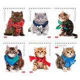 {{photo.Alt || photo.Description || 'Блокнот МАЛЫЙ ФОРМАТ А6 110х145 мм, 40 л., гребень, лакированная обложка, клетка, HATBER, "Котята", 40Б6B1гр, В12291'}}