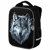 {{photo.Alt || photo.Description || 'Ранец BRAUBERG LIGHT, 1 отделение, с брелком, Gray wolf, 36х26х13 см, 273111'}}
