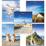 {{photo.Alt || photo.Description || 'Тетрадь А5, 80 л., BRAUBERG, скоба, клетка, обложка картон, "By the Sea", 404410'}}