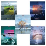 {{photo.Alt || photo.Description || 'Тетрадь А5, 80 л., HATBER, скоба, клетка, обложка картон, "IMPRESSIONS" (5 видов), 80Т5В1, T242148'}}