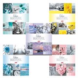 {{photo.Alt || photo.Description || 'Тетрадь А5, 96 л., HATBER, скоба, клетка, обложка картон, "BEAUTIFUL COLOURE" (5 видов), 96Т5В1, T241349'}}