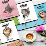{{photo.Alt || photo.Description || 'Тетрадь А5 96 л. ПЗБМ, гребень, клетка/линия, выборочный лак, перевёртыш, "Опа!" (5 видов), 028558'}}