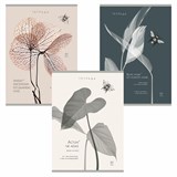 {{photo.Alt || photo.Description || 'Тетрадь А4 80 л. ПЗБМ, скоба, клетка, Soft Touch, брайль, "Латынь" (микс в спайке), 23430'}}