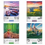 {{photo.Alt || photo.Description || 'Тетрадь А4, 80 л., BRAUBERG, гребень, клетка, обложка твердая, "Nature", 404054'}}