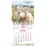 {{photo.Alt || photo.Description || 'Календарь настенный перекидной 2027 г., BRAUBERG, 12 листов, 28,5х57 см, "Символ года", 118414'}}