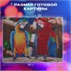 Картина стразами (алмазная мозаика) 40х50 см, ОСТРОВ СОКРОВИЩ "Попугаи", без подрамника, 662413 662413