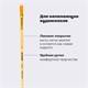 Кисть ПИФАГОР, СИНТЕТИКА, плоская, № 6, деревянная лакированная ручка, с колпачком, пакет с подвесом, 200859 200859