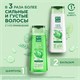 Шампунь для всех типов волос 250 мл, ЧИСТАЯ ЛИНИЯ "Экстракт крапивы", укрепляющий 609857 Шампунь для всех типов волос 250 мл, ЧИСТАЯ ЛИНИЯ "Экстракт крапивы", укрепляющий 609857