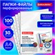 Папки-файлы перфорированные с антибликовой текстурой А4 BRAUBERG PIXEL, КОМПЛЕКТ 100 шт., 30 мкм, 271826 271826 - фото 274555