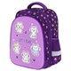 Ранец BRAUBERG KIDS STANDARD, 2 отделения, "Playing kittens", 36х28х14 см, 272038 272038 - фото 274645