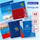 Тетрадь А5 48 л. BRAUBERG скоба, клетка, обложка картон, Россия (микс в спайке), 404362 404362 - фото 278407