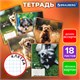 Тетрадь 18 л. BRAUBERG клетка, обложка картон, СОБАЧКИ, 107295 107295 - фото 286524