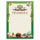 Грамота Школьная, A4, мелованная бумага 115 г/м2, для лазерных принтеров, зеленая, STAFF, 111802 111802 - фото 286690