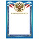 Грамота "Благодарность", А4, мелованный картон, конгрев, тиснение фольгой, синяя рамка, BRAUBERG, 128345 128345 - фото 287982