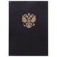 Книга учета 96 л., клетка, твердая, бумвинил, офсет, герб, А4 (200х290 мм), BRAUBERG, черная, 130275 130275 - фото 288215