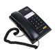 Телефон RITMIX RT-330 black, быстрый набор 3 номеров, мелодия удержания, черный, 15118350 262837 - фото 297987