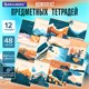 Тетради предметные, КОМПЛЕКТ 12 ПРЕДМЕТОВ, 48 л., SoftTouch, фольга, BRAUBERG, "ELEGANCE", 404611 404611 - фото 302393
