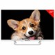 Телевизор TOPDEVICE TDTV24CS03H_WE, 24'' (60 см), 1366x768, HD, 16:9, SmartTV, Wi-Fi, Bluetooth, белый 458149 - фото 322757