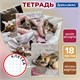 Тетрадь 18 л. BRAUBERG клетка, обложка картон, КОТЯТА, 107292 107292 - фото 323120