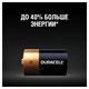 Батарейки КОМПЛЕКТ 2 шт., DURACELL Basic ОРИГИНАЛ, D (LR20, 13А), алкалиновые, блистер 450401