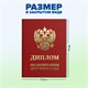 Диплом об окончании детского сада, бумвинил красный, А5 115х150 мм, BRAUBERG, 117577 117577