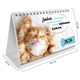 Календарь-домик настольный на гребне, 2026 г., BRAUBERG, 160х110 мм, 6 листов, "Котики", 117296 117296