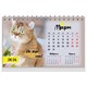Календарь-домик настольный на гребне, 2026 г., BRAUBERG, 160х110 мм, 6 листов, "Котики", 117296 117296