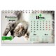 Календарь-домик настольный на гребне, 2026 г., BRAUBERG, 160х110 мм, 6 листов, "Котики", 117296 117296