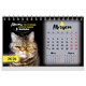 Календарь-домик настольный на гребне, 2026 г., BRAUBERG, 160х110 мм, 6 листов, "Котики", 117296 117296