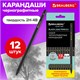 Карандаши чернографитные BRAUBERG НАБОР 12 шт., "Black Jack", 2Н-4В, без резинки, черные, дерево, заточенные, 180620 180620 Карандаши чернографитные BRAUBERG НАБОР 12 шт., "Black Jack", 2Н-4В, без резинки, черные, дерево, заточенные, 180620 180620
