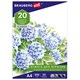Папка для рисования А4, 20 л., 200 г/м2, BRAUBERG, 210х297 мм, "Сирень", 129223 129223 - фото 343887