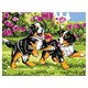 Картина по номерам 15х20 см, ЮНЛАНДИЯ "Щенки на прогулке", на холсте, акрил, кисти, 662501 662501