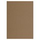 Крафт-бумага для графики, эскизов А4(210х297мм), 120г/м2, 100л, BRAUBERG ART CLASSIC,112486 112486