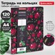 Тетрадь на кольцах БОЛЬШАЯ А4 (240х310 мм), 120 л., под кожу, BRAUBERG VISTA, "Гранаты", 404513 404513
