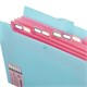 Папка-органайзер на кнопке 12 отделений, BRAUBERG "Extra", А4, голубая с розовым, 271932 271932